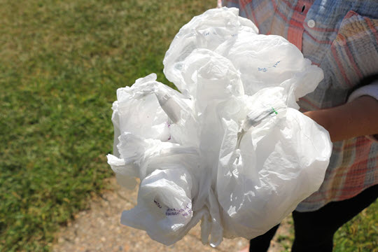 Plastic bags cannot be recycled