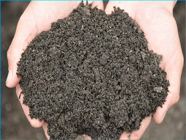 Finished Compost