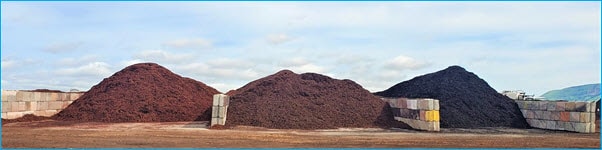 Pro-Chip Bunker at NIRRP