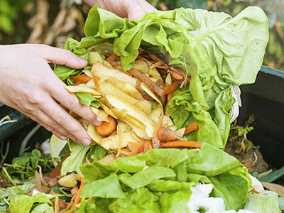 Organic food waste