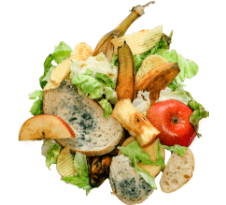 organic and food waste recycling