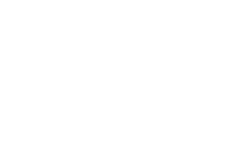 Newspaper/Newsletter icon