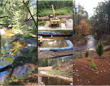 wetland restoration