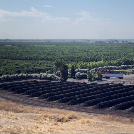field that produces produce