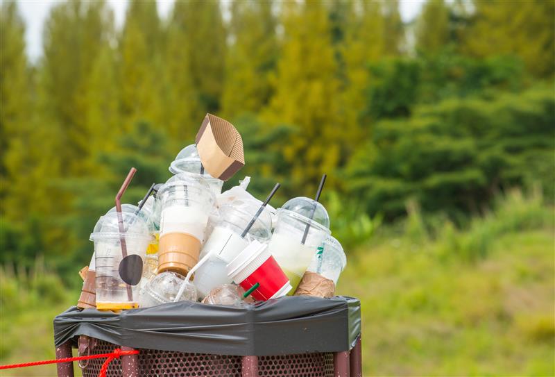 Disposable-Coffee-Cups
