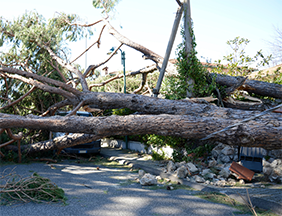 Damage from hurricane