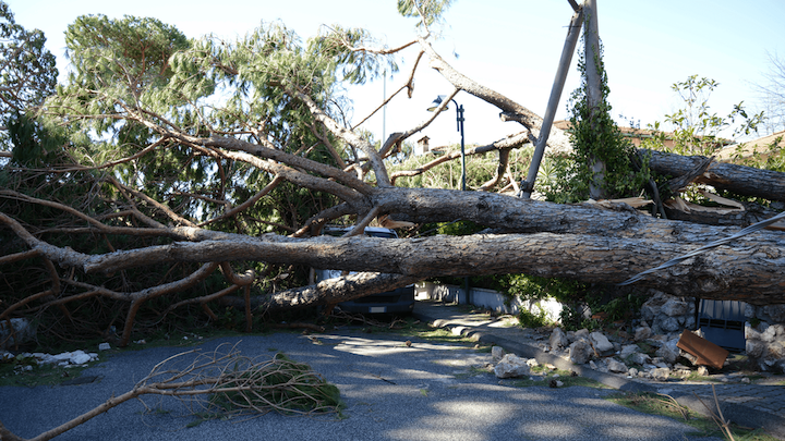 Hurricane-Relief