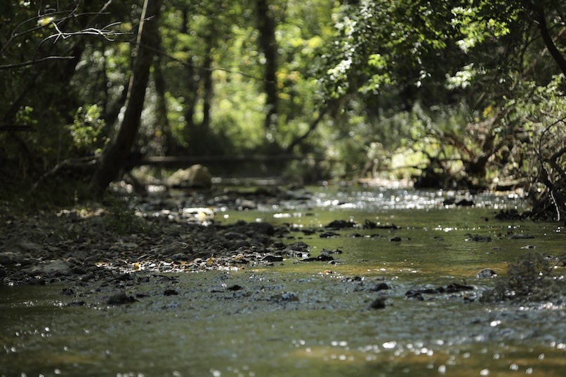 River
