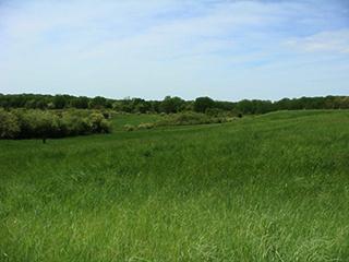 rolling hills