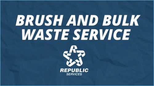 Rowlett-Video-Brush-Bulk