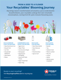 Seed-to-Flower-Graphic