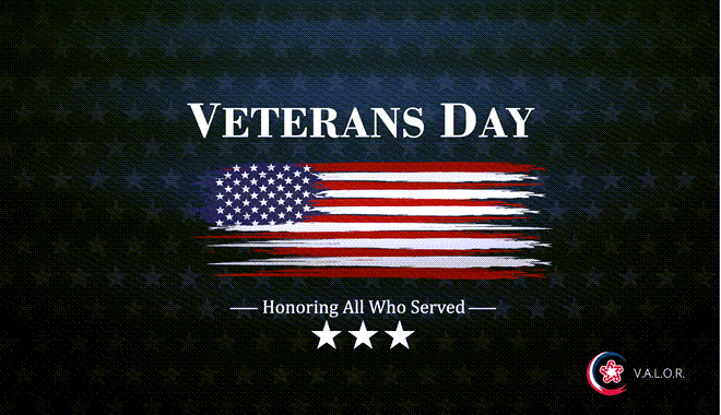 veterans day flag