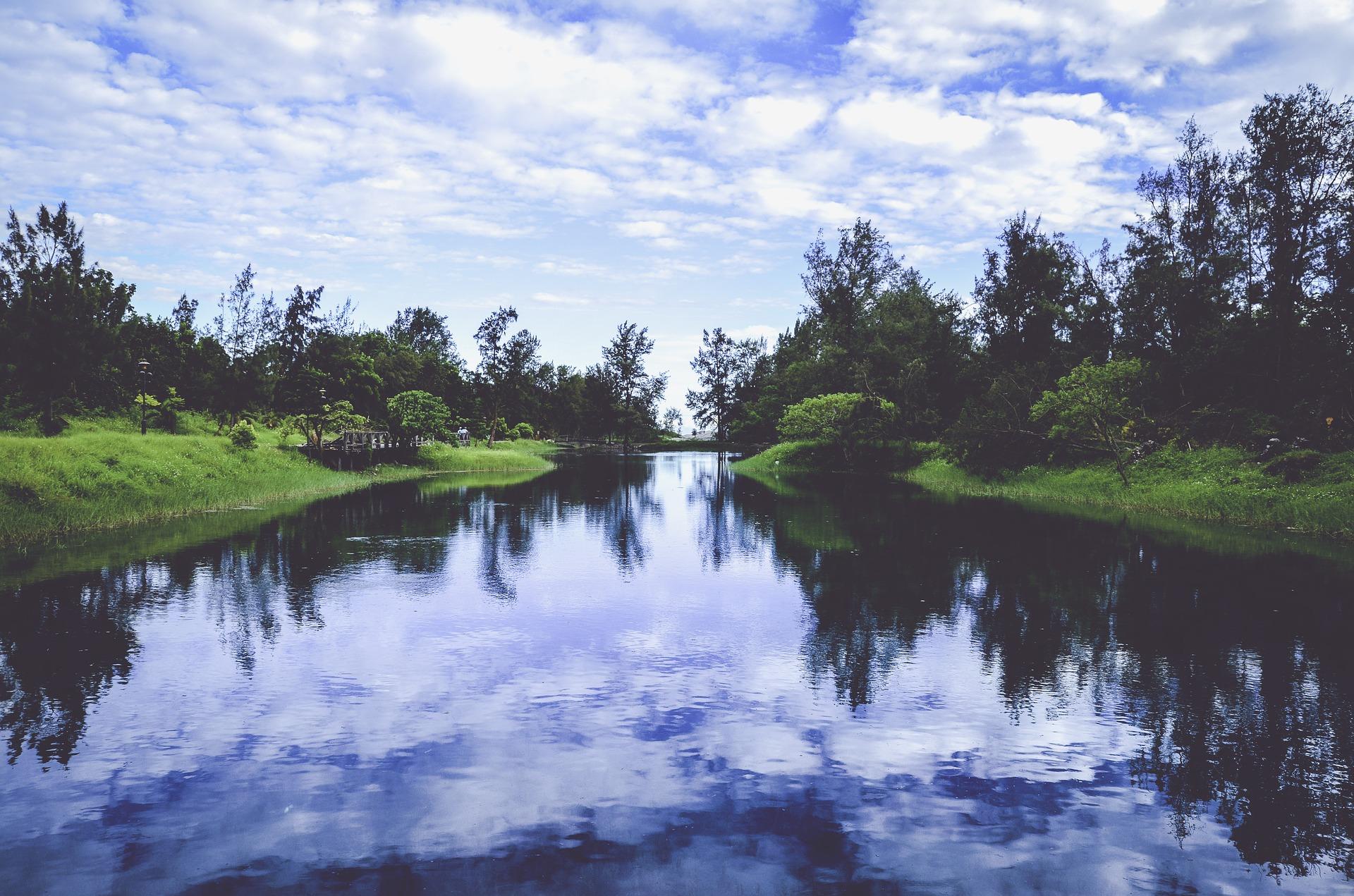 river in a forrest scenery
