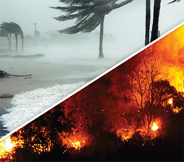 hurricane and fire natural disasters 