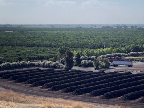 field that produces produce