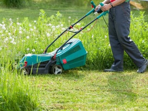 electric lawn mower with weeds and grass