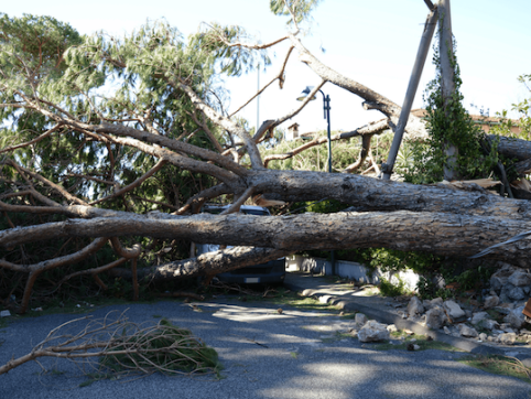 Hurricane-Relief