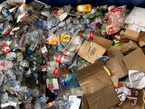 Waste-Audit