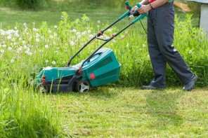 electric lawn mower with weeds and grass