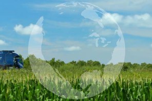 trash truck in the field of green