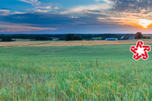 Republic services logo on a field 