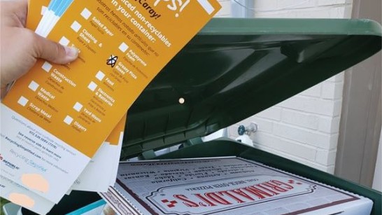 pizza box in a recycling bin