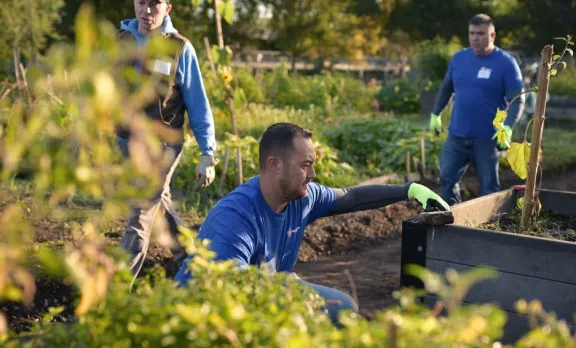 people working in raised garden beds