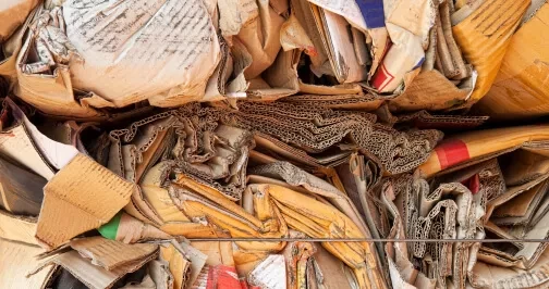 Cardboard recyclables