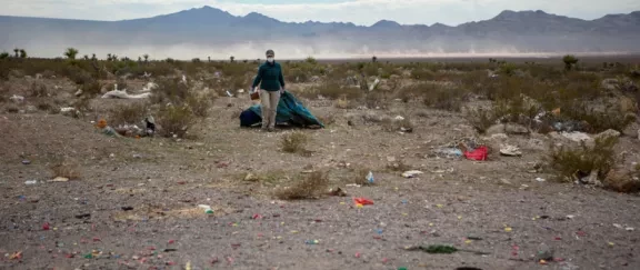 Mojave Desert